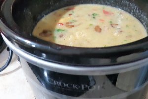 Papricas cu piept de pui si galbiori la slow cooker Crock Pot