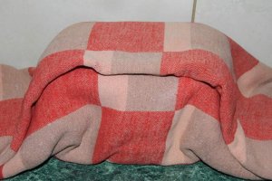 Gem de gutui