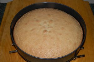Desert tort 10 ani