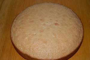 Desert tort 10 ani