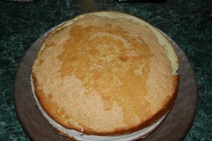 Desert tort 10 ani