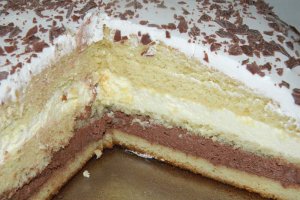 Desert tort 10 ani