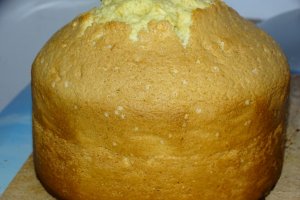 Desert tort lamaita