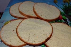 Desert tort lamaita