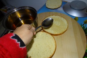 Desert tort lamaita