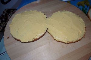 Desert tort lamaita