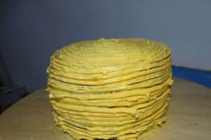 Desert tort lamaita