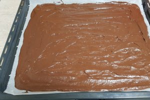 Desert prajitura cu foi din albusuri si crema de nuca de cocos