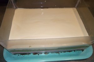Desert tort cuburi de gheata