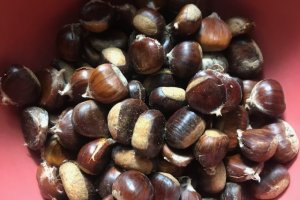 Supa crema de dovleac, cu castane