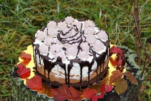 Desert tort cheesecake Tuxedo
