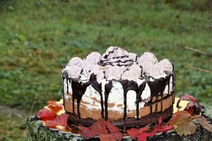 Desert tort cheesecake Tuxedo