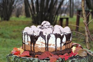Desert tort cheesecake Tuxedo