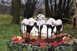 Desert tort cheesecake Tuxedo