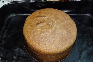 Desert tort 2021