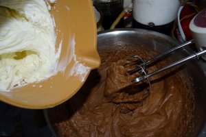 Desert tort 2021