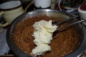Desert tort 2021