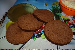 Desert tort 2021
