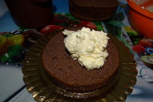 Desert tort 2021