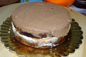 Desert tort 2021