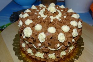 Desert tort 2021