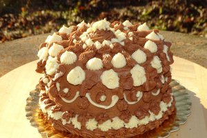 Desert tort 2021