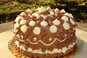 Desert tort 2021