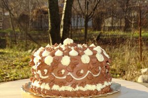 Desert tort 2021