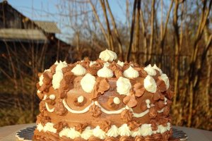 Desert tort 2021