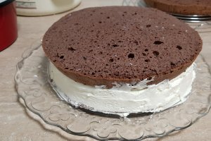 Desert tort Rocher, cu fructe