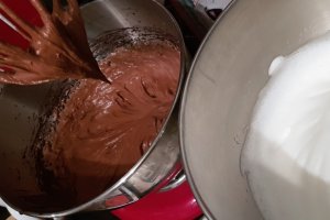 Desert buturuga cu ciocolata si crema de castane (fara gluten, low carb)