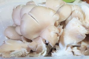 Ciorba falsa de burta 2, cu ciuperci pleurotus