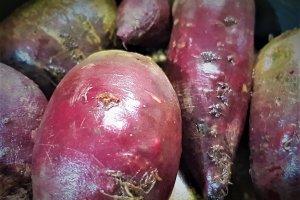 Salata de sfecla cu crema de hrean