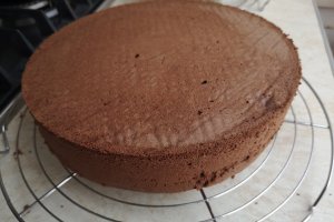 Desert tort cu ciocolata si mascarpone