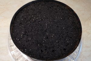 Desert tort cu visine si ciocolata