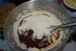 Desert tort Paul
