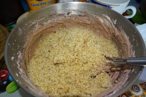Desert tort Paul