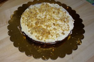 Desert tort Paul