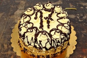 Desert tort Paul