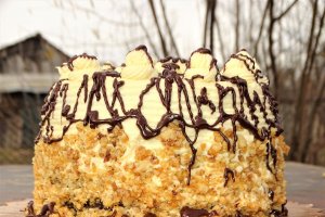 Desert tort Paul