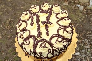 Desert tort Paul
