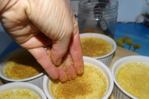 Desert creme Brulee