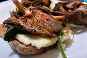Sandvis cald cu cascaval, spanac si ciuperci pleurotus
