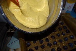 Desert prajitura cu prune, nuci si crema de vanilie