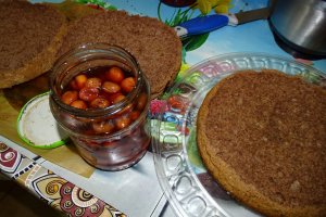 Desert tort Carmen