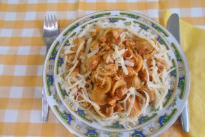 Orecchiette cu piept de pui