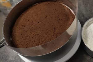 Desert tort Violet
