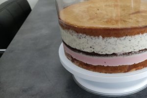 Desert tort Violet
