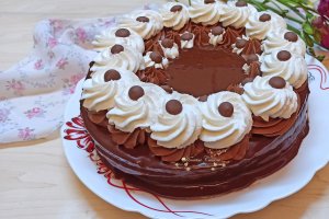 Desert tort Boema