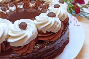 Desert tort Boema